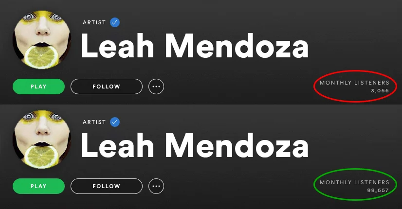 spotify-monthly-listeners-before-and-after-spotiflex-12