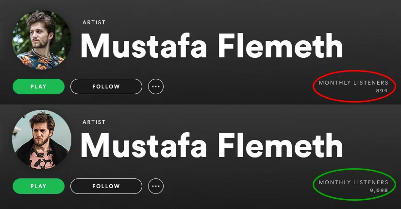 spotify-monthly-listeners-before-and-after-spotiflex-2