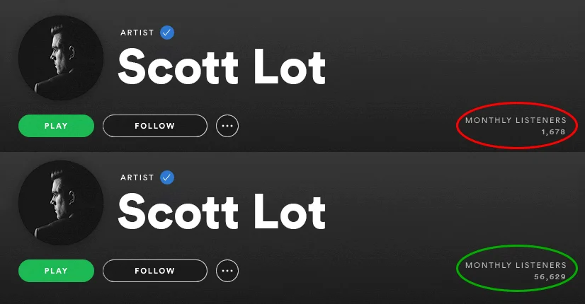 spotify-monthly-listeners-before-and-after-spotiflex-3