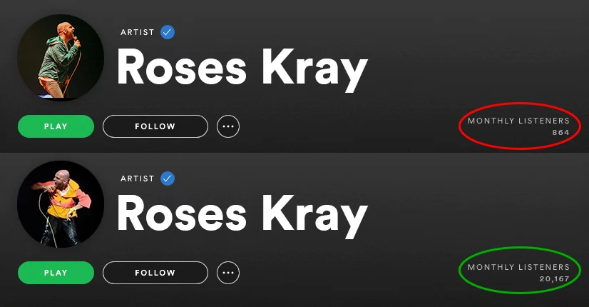 spotify-monthly-listeners-before-and-after-spotiflex-4