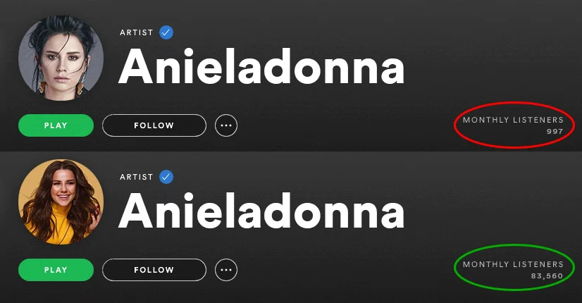 spotify-monthly-listeners-before-and-after-spotiflex-6